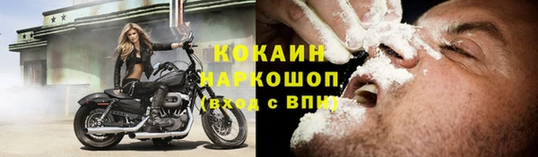 шишки Михайлов