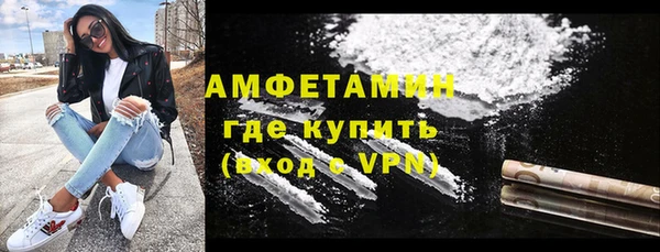 прущие грибы Алагир