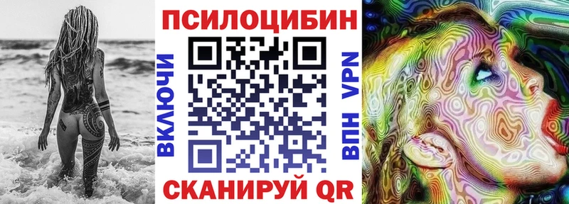 магазин    KRAKEN маркетплейс  Псилоцибиновые грибы Cubensis  Кадников 